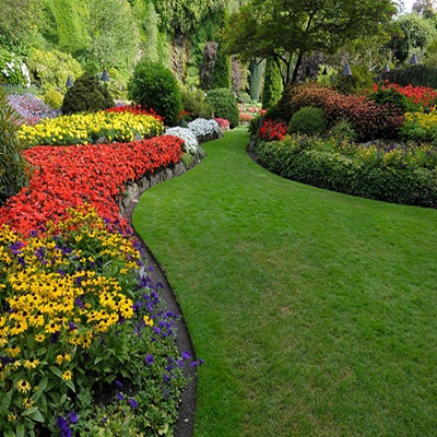 Landscape Garden
