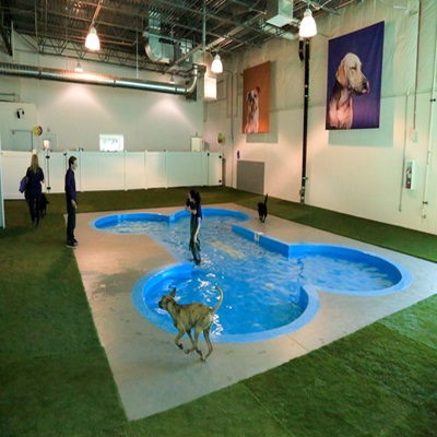 Pet Area